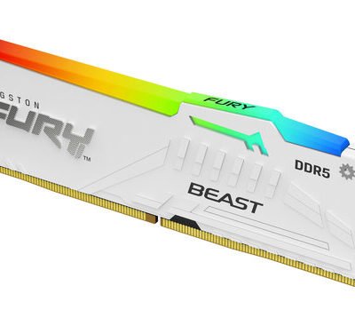 KINGSTON - Memoria Ram 16GB (1x16GB) DDR5 6000MT/s CL30 FURY Beast White RGB EXPO